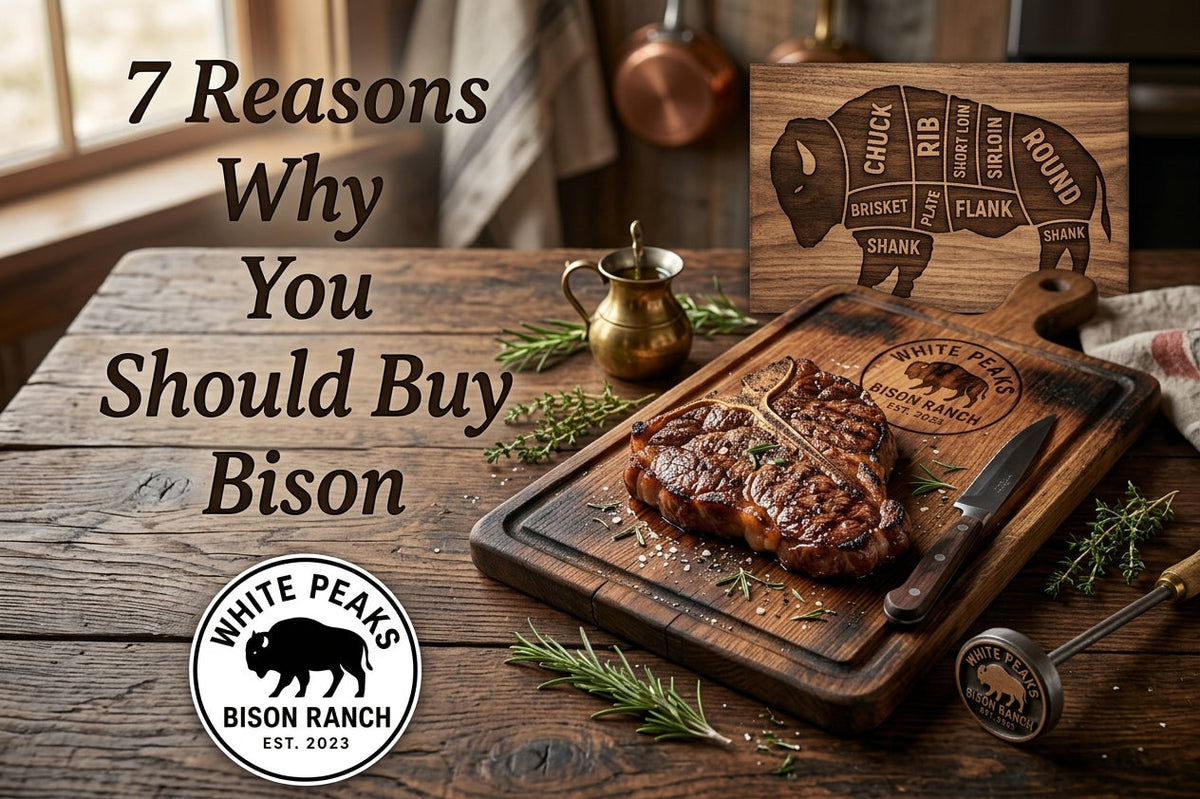 Why Choose Bison Meat? 7 Reasons More Families Are Making the Switch